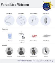 Die parasiten verlieren ihre nahrungsgrundlage und sterben ab oder werden mit dem stuhl ausgeschieden. Tropeninstitut Krankeiten A Z Wurmerkrankung Infografik