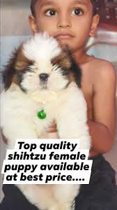 Rajahmundry Activities