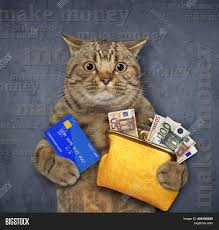Have a ton of scrap fabric lying around? Beige Cat Holds Credit Image Photo Free Trial Bigstock