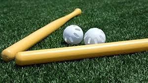 wiffle ball and bat