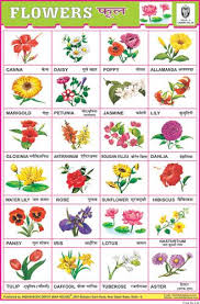 Flower Chart 24 Photos White Flower Chart Preschool Charts Charts For Kids