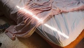 No stains formula · safe for pets & kids · no odor · reviews You Can Have Bed Bugs And Not Know It Here S What To Look Out For Self