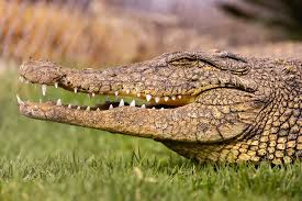 AJ Kruger (@ajnam89) • Instagram photos and videos