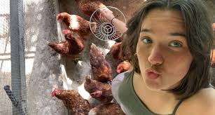 Final Impressions: Fall in Costa Rica