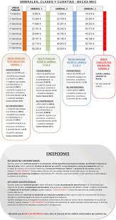 Cual es la cuantía de la beca y cómo se hace el pago?