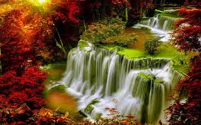 Wallpapers tagged with this tag. Cascade Falls 1080p 2k 4k 5k Hd Wallpapers Free Download Wallpaper Flare