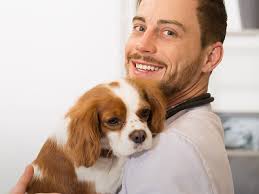 Vet Reviews in Port Isabel TX