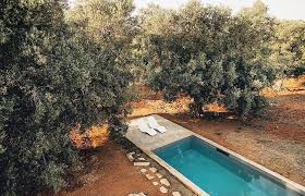 Puglia Glam On Instagram Relax Under An Olive Tree Surrounded By Red Soil Masseriabatti Puglia Better Homes And Gardens Outdoor