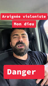 Laraignée Violoniste