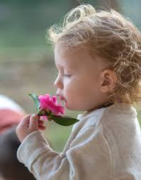 Williams Photography of Fort Mill, SC