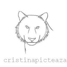 Desene in creion cute cu animale. Desene In Creion Cu Animale Tigru In Creion Cristina Picteaza