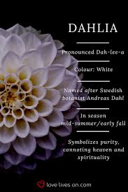 There are certain colour schemes and types of flowers that are more suited to funerals than others. Funeral Flowers And Their Meanings The Ultimate Guide Flower Meanings Funeral Flowers Funeral Flower Arrangements