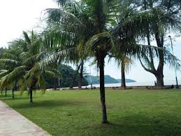 A 50 km de pantai merdeka. Harga Bilik Merdeka Beach Resort Kota Kuala Muda Kedah 2019