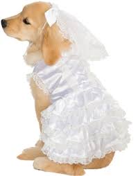 Married Marriage Wedding Bride Girl Dog Pet Costumes Size Xl X Large 28 Dog Wedding Dress Dog Dresses Pet Halloween Costumes