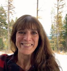 Why are birds flying into my windows and how to stop it?