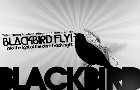 Another time he recalls writing it as a response to racial tensions escalating in the united states during the. Blackbird Beatles Quotes Quotesgram