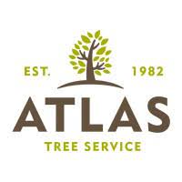 Check spelling or type a new query. Atlas Tree Service Linkedin
