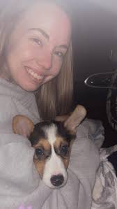 Hibiscus bloom in garden