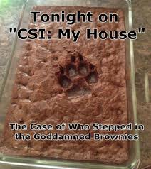 Paw Print Brownie Funny Laugh Funny Pictures