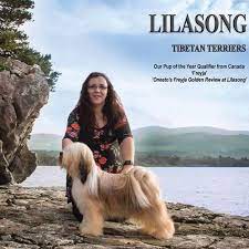 We did not find results for: Lilasong Tibetan Terriers Home Facebook