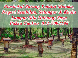 Penternakan ini juga bertujuan untuk pendebungaan tanaman dan penghasilan koloni kelulut untuk dijual kepada pemelihara lain. Addin Pembekal Sarang Kelulut Melaka