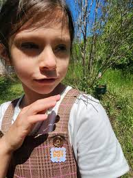 Game Show Math Category Difficulty