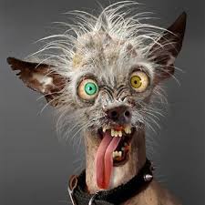 Welcome to Wacky Wednesday