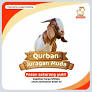 jual hewan qurban cilebut from usahajuraganmuda.biz.id