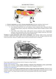 We did not find results for: Rangkuman Tema 3 Flip Ebook Pages 1 8 Anyflip Anyflip