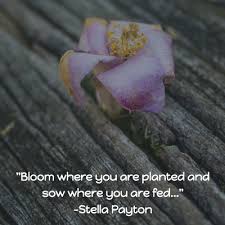 Maybe you would like to learn more about one of these? Top 22 You Reap What You Sow Quotes Enkiquotes