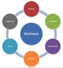 Basic Of Wellness Flashcards Quizlet