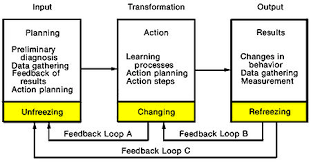 Organization Development Wikipedia