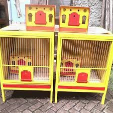 Salah satunya dalam video berikut ini, di mana saat kakek salah membuka pintu, bocah 2 tahun yang harus menanggung. Design Kandang Merpati Ukuran 70x70x80 Kaki 25cm Mahar Per Paket Kandang Gupon Tpt Ngeram Rp 400 000 Blm Termasuk Ongkir Facebook