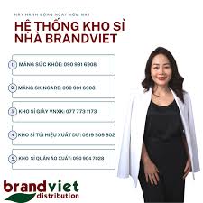Hướng dẫn nhượng quyền SHOP ONLINE tại BrandViet