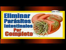 Tratamiento Casero Para Los Oxiuros Gabi Boanca Boanca65 On Pinterest Oxiuros En Ninos Tratamiento Natural