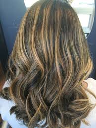 To add dynamism and shape, choose highlights in a lighter color and lowlights in caramel or dark. Dark Brown Hair With Caramel And Honey Highlights Novocom Top