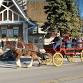 Ephraim’s Christmas in the Village