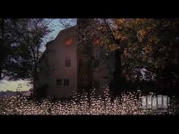 Ich entwarf es als eine mischung aus dem eigentlichen haus in. The Amityville Horror 1979 Official Trailer Youtube