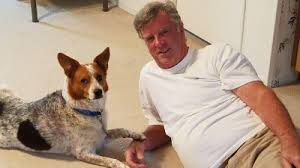 Jul 01, 2021 · formerly the spca of central florida, our goal is to provide compassionate and knowledgeable services for pets and to be leaders in innovative animal care and sheltering. Pets For Adoption At Puppy Pleasers Rescue In Orlando Fl Petfinder