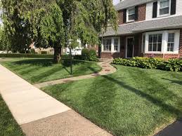 We did not find results for: Vincent Manners On Twitter Thanks For The T Shirt Milorganite And Thank You Allynpaul For All The Great Lawn Tips Enjoythemow Milorganite Lawncarenut Https T Co Ndlt5rbstb