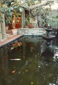 Maybe you would like to learn more about one of these? Calming Koi Pond Entrance Sets A Mood Picture Of Odyssey Restaurant Events Los Angeles Tripadvisor