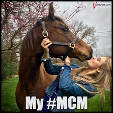 Pin On Horse Sayings