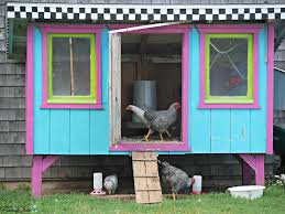 Some of these backyard chicken coops are colorful, others architectural, and some are outrageous! A Visit To Mabel Murple S Fanningsparks