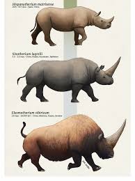 Показаны 13 файлов из 13, находящихся в. Teaching Science Paleoart Evolution Series An Army Of Rhinos