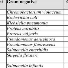 Lipid and lipoprotein content is high in the cell wall of gram negative bacteria. List Of Gram Positive Bacteria Gram Negative Bacteria And Download Scientific Diagram