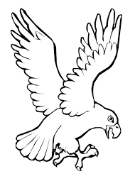 Gambar burung elang untuk anak tk. Gambar Mewarnai Elang