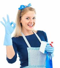 آرمان نظافت پاکان Clean House Professional House Cleaning Maid Service