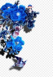 Check spelling or type a new query. Flower Blue Moutan Peony Png 2835x4134px Blue Artificial Flower Cobalt Blue Color Cut Flowers Download Free