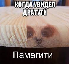 Анатолий владимирович чепига, born 5 april 1979) is a colonel in the russian general staff's main directorate (also known as gru), the military intelligence service of the russian federation. The Most Famous Memes In The History Of The Internet 40 Photos Place No Money But You Hold On Agutin And Red Button