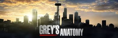 Primul episod a fost urmarit de 16.25 milioane telespectatori si finalul primul sezon a atras 22.22 milioane de telespectatori. Radiofly Filme 2014 Grey S Anatomy Serial Online Subtitrat Anatomia Lui Grey